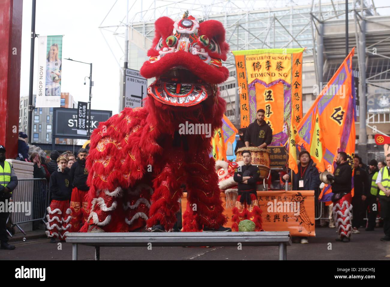 Chinese New Year Celebrations marking the Year of the Snake Newcastle's