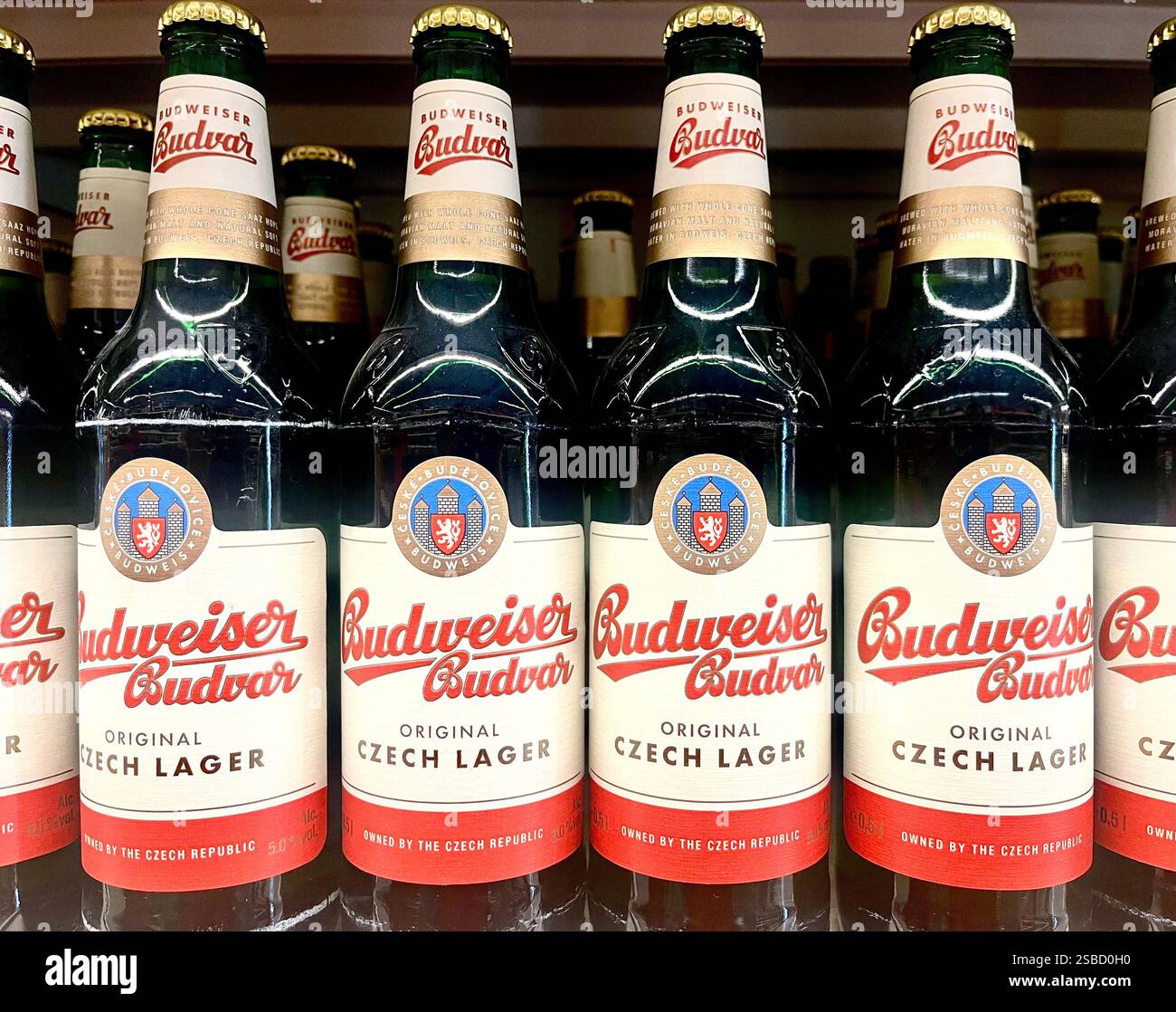 Budweiser beer, Budvar, Czech lager, Czech beer, shop display, supermarket shelf, store shelves, consumerism, shopping, convenience shop, beer, beers - Smartphone Captured Stock Image