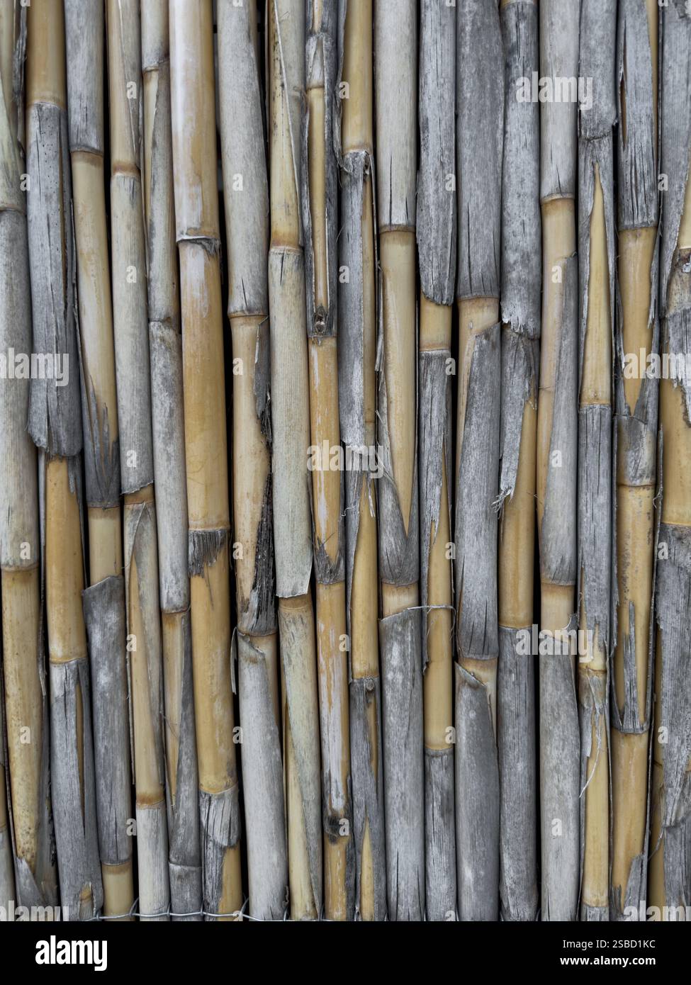 Weathered Reed Fence Texture Close-Up, Eroded by the Elements Stock Photo