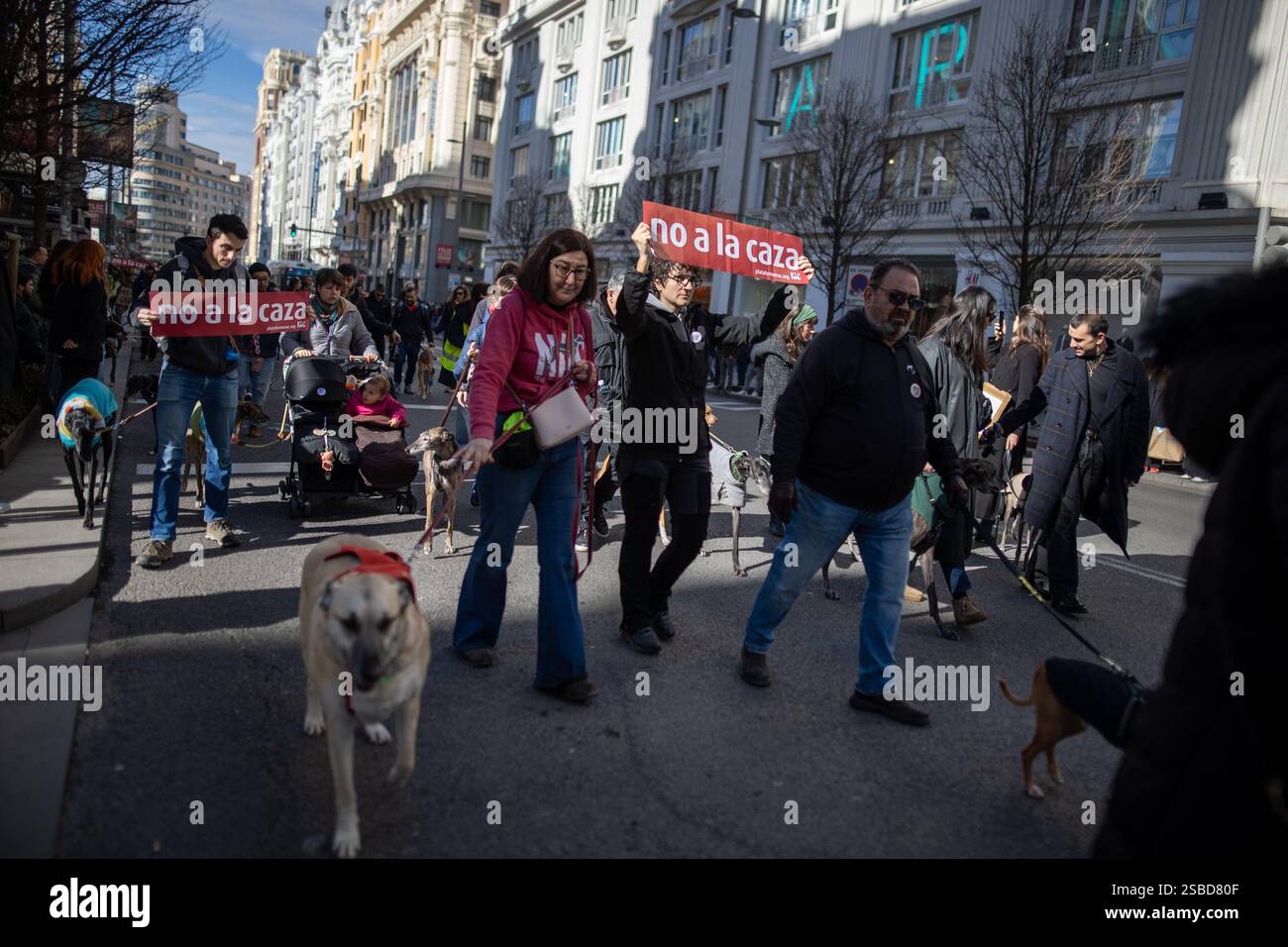 Animal rights activists march with banners alongside their dogs during ...