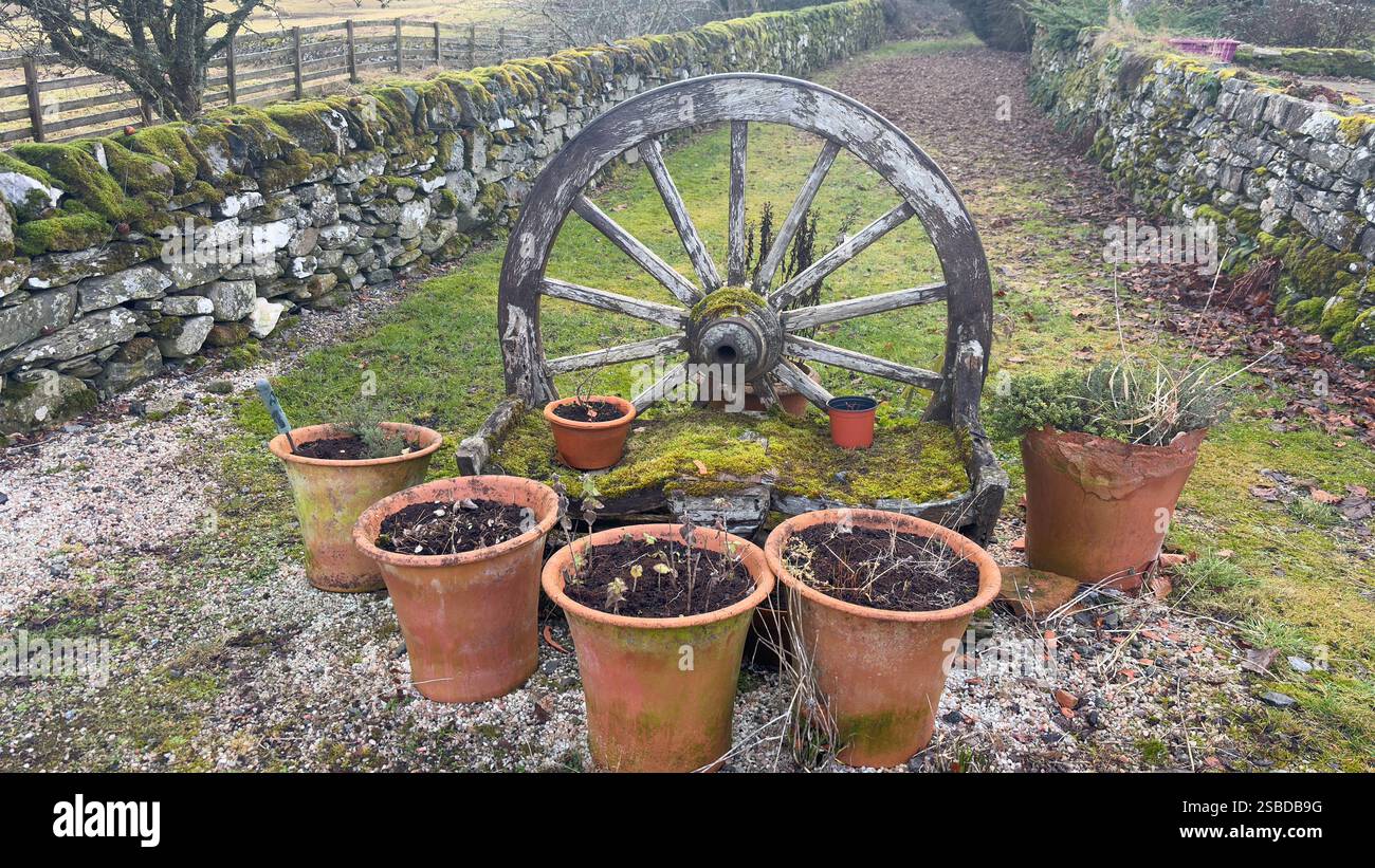 Old wooden wagon wheel bench with plant pots in the garden - Smartphone Captured Stock Image