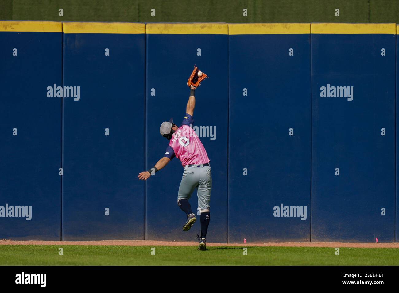 Japan's Takeru Ohashi catches a ball during a Caribbean Series baseball