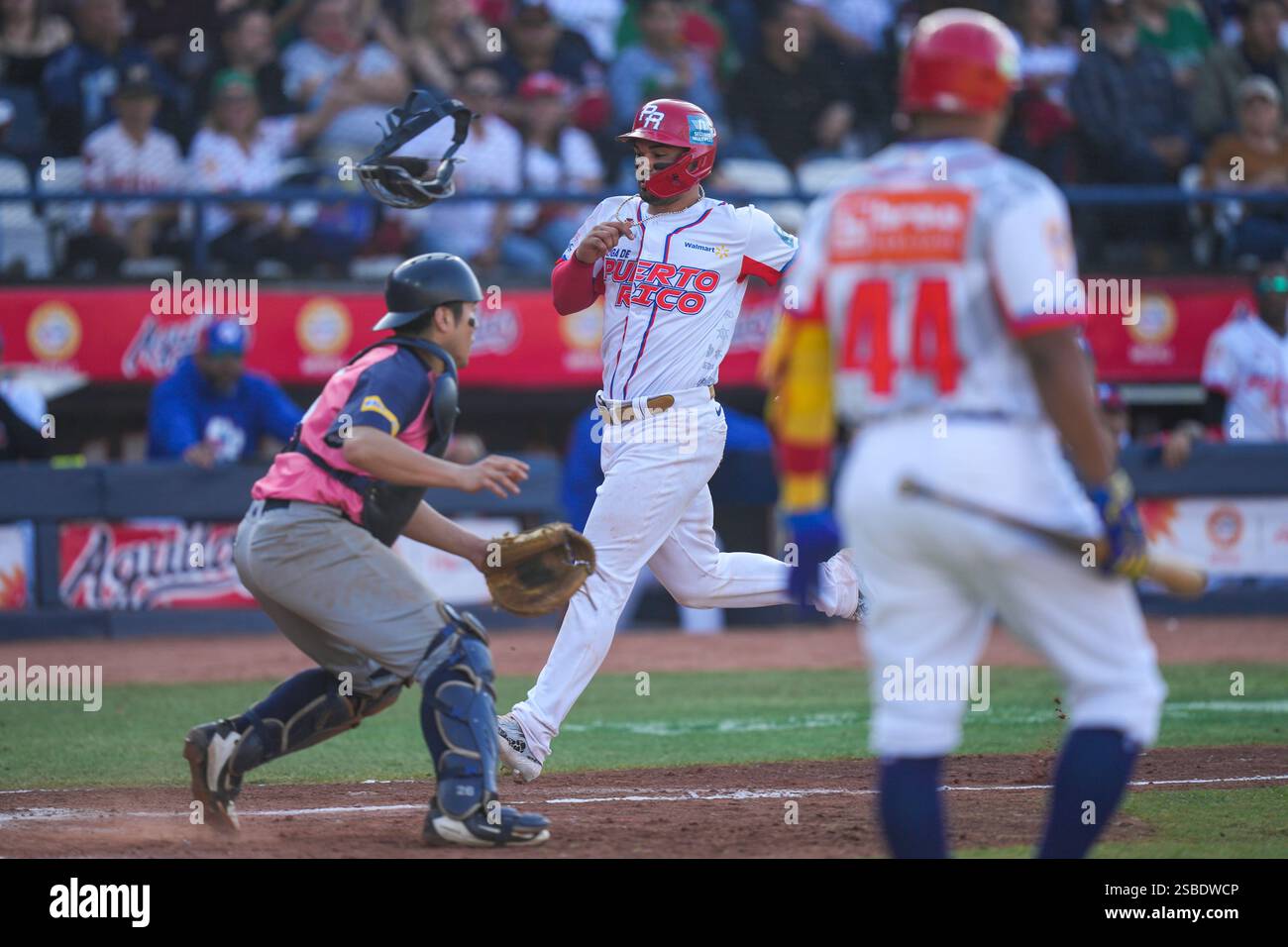 Puerto Rico's Mario Feliciano, center, scores a run against Japan
