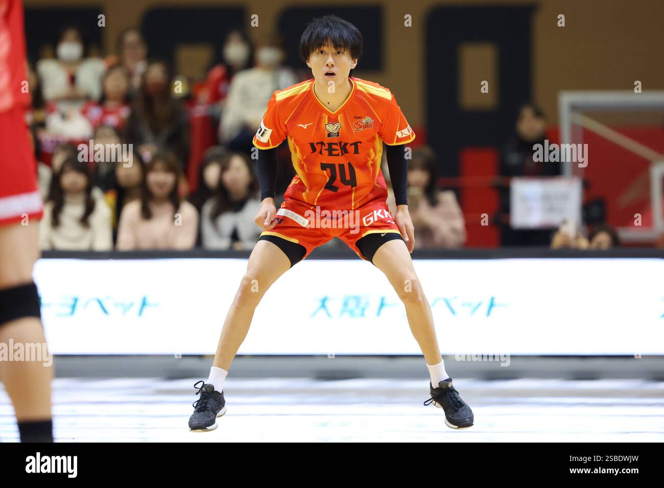 Tomohiro ogawa hi-res stock photography and images - Alamy