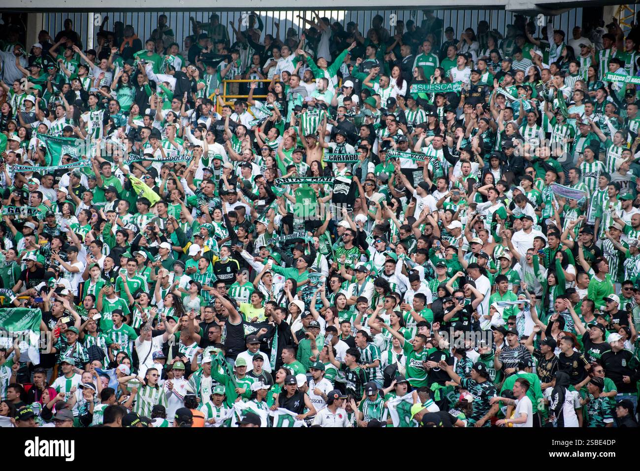 Atletico Nacional Fans Take Part During The Liga BetPlay Dimayor Match atletico-nacional-fans-take-part-during-the-liga-betplay-dimayor-match