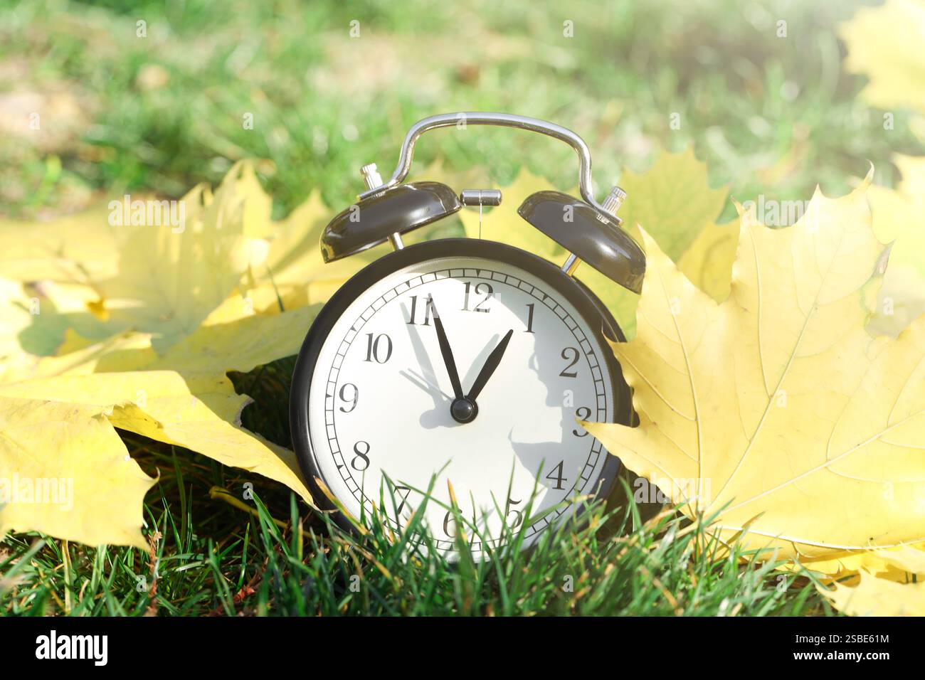 Autumn time. Alarm clock among fallen leaves on green grass, closeup Stock Photo