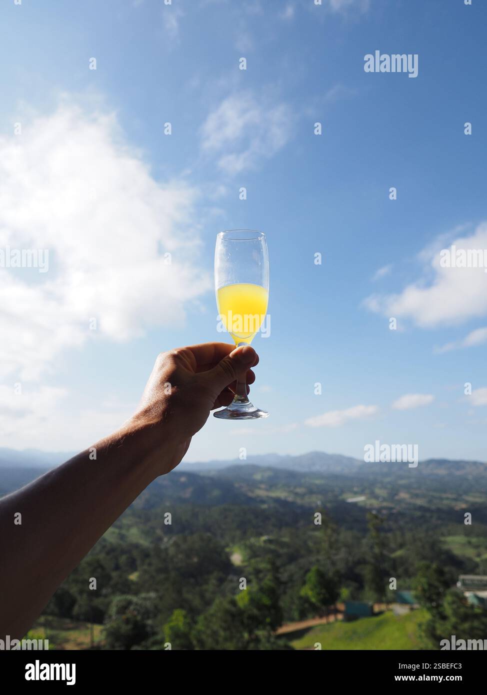 Rasing Lass Pov person raising glass hi-res stock photography and images - Alamy