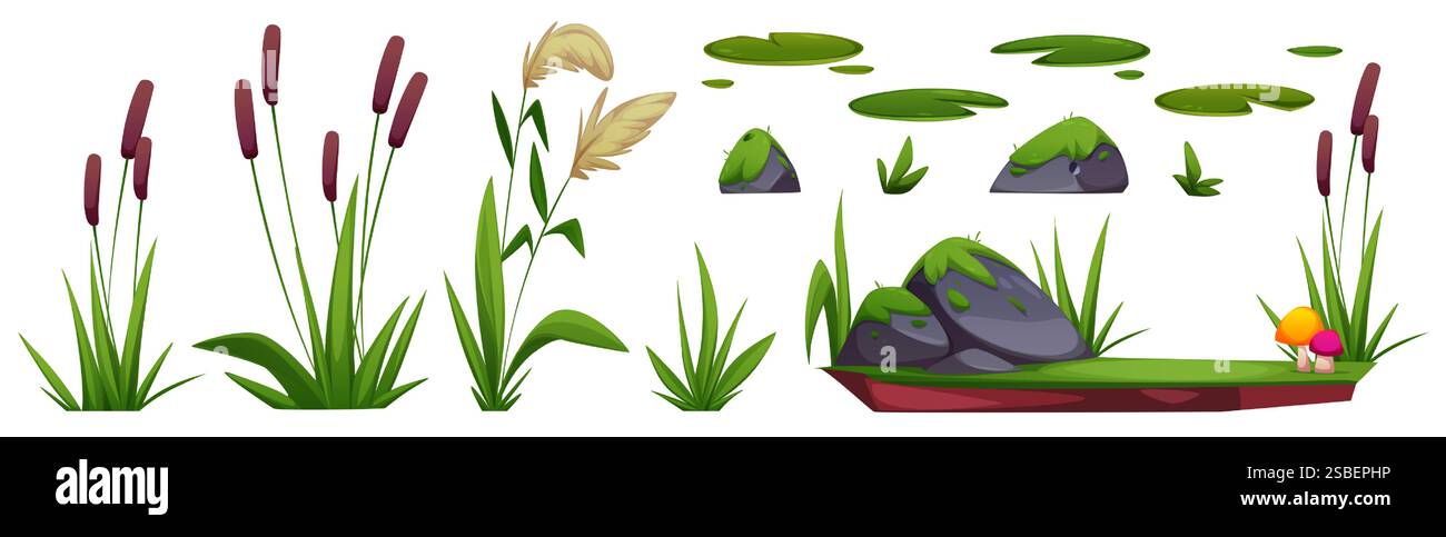 Wetland nature collection - brown cattails, beige pampas grass, moss covered rocks, green lily pads, bright mushrooms on clay ground. Cartoon swamp ecosystem elements for environment design. Stock Vector