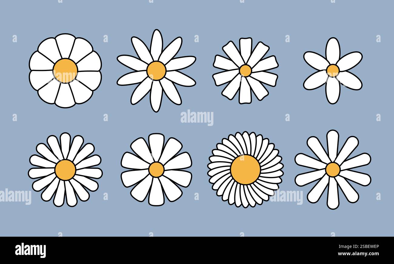 White daisy chamomile collection Stock Vector