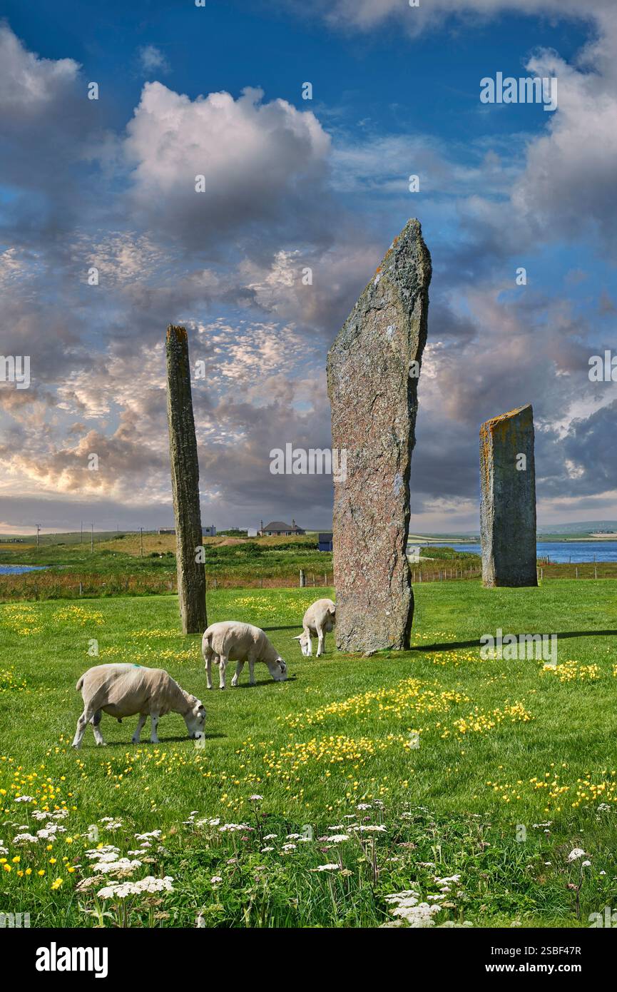 Neolithic Stones of Stenness standing stones Orkney Scotland part of the World Heritage Ancient Britains landscape of the Orkney Islands Stock Photo