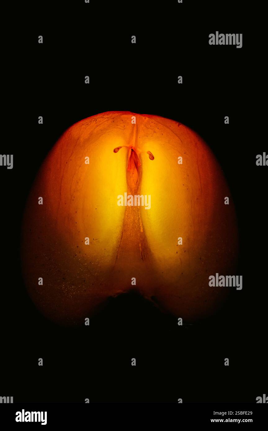 Persimmons cut on a black handicap Stock Photo