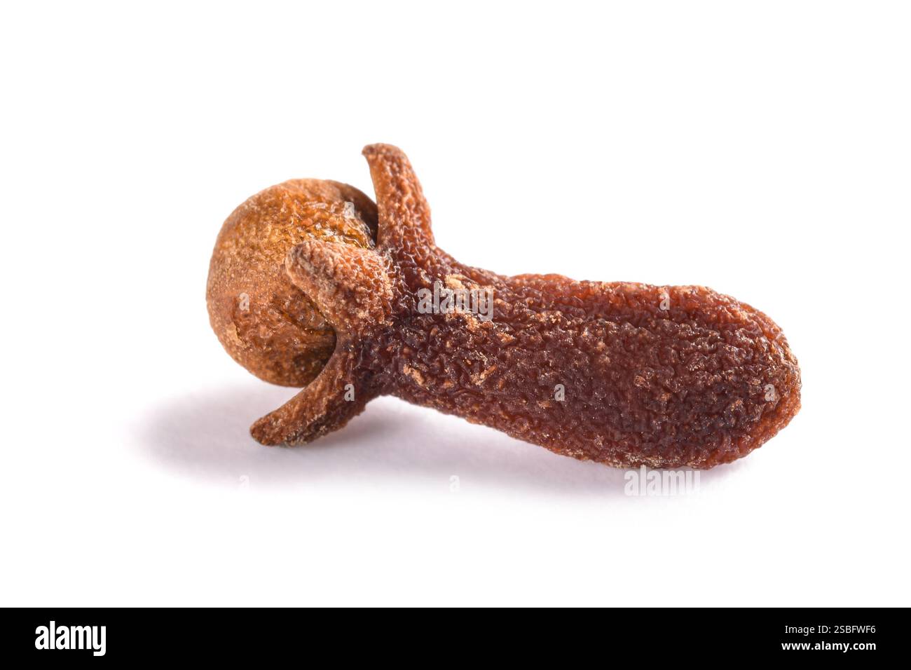 Clove isolated on white background Stock Photo