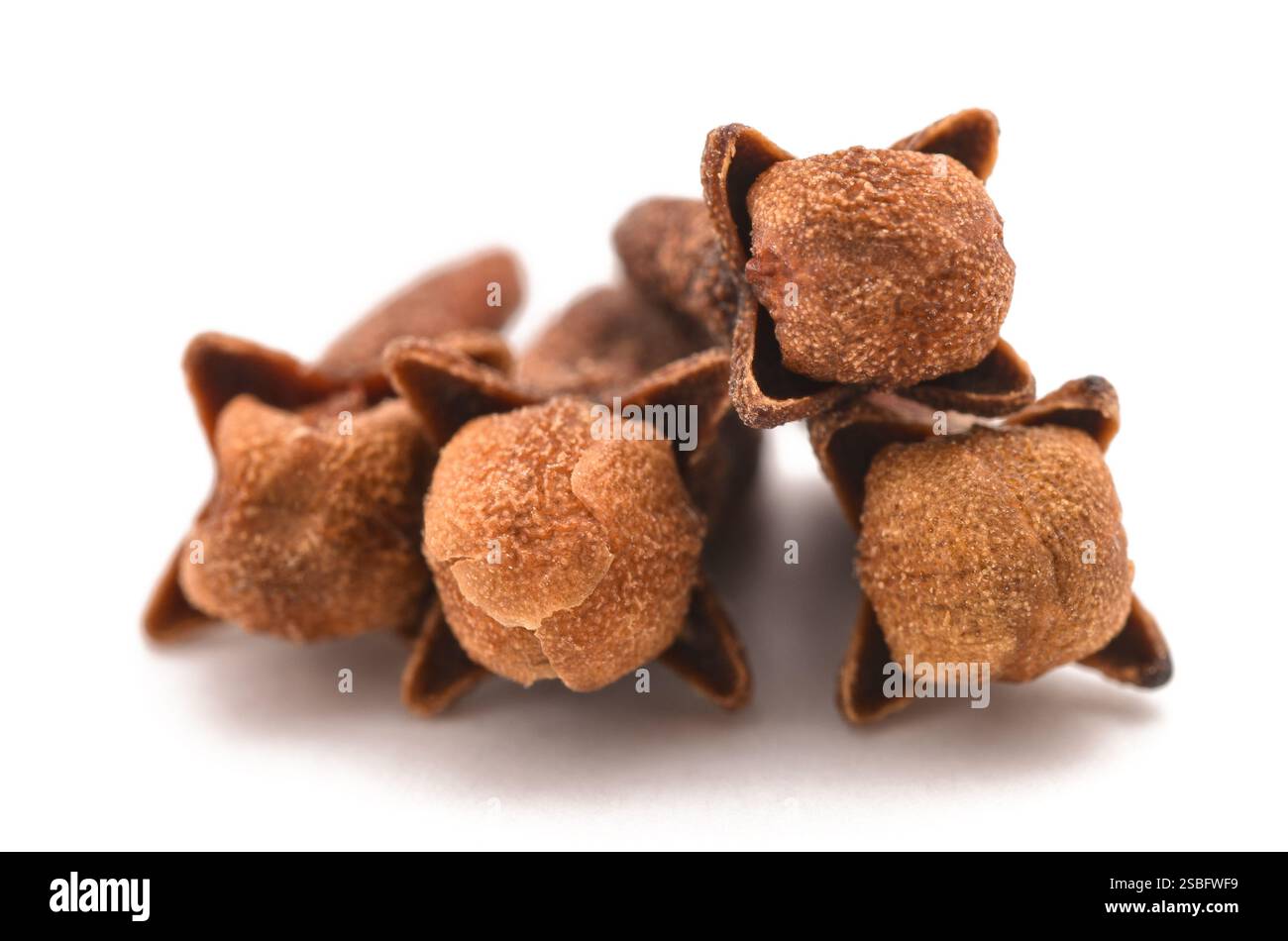 Cloves group isolated on white background Stock Photo