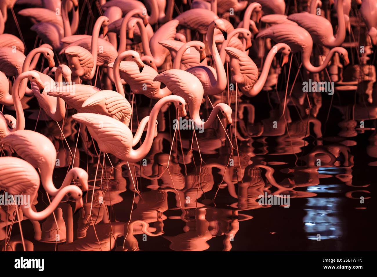 Bristol light festival 2025 hires stock photography and images Alamy