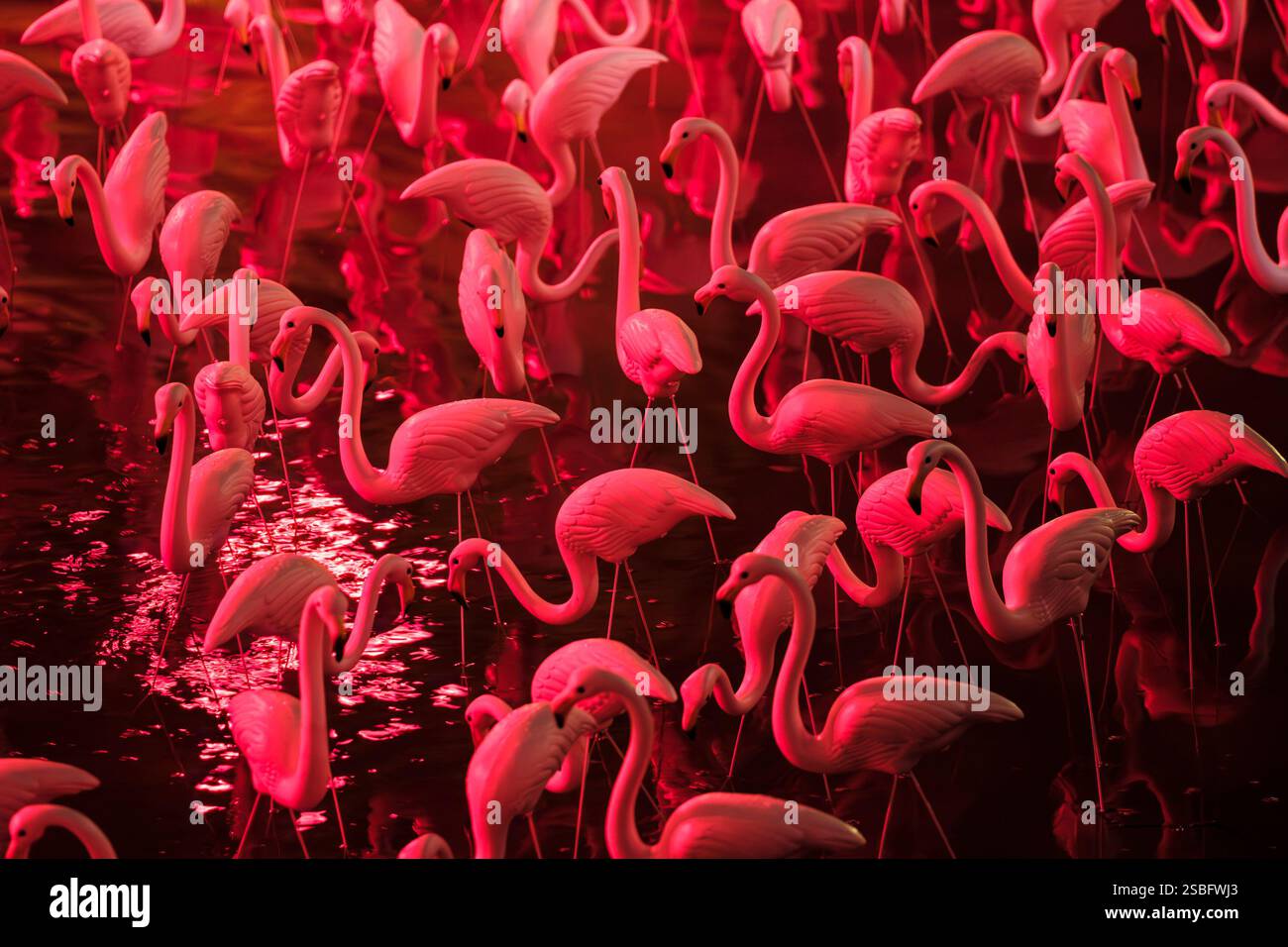 Bristol light festival 2025 hires stock photography and images Alamy