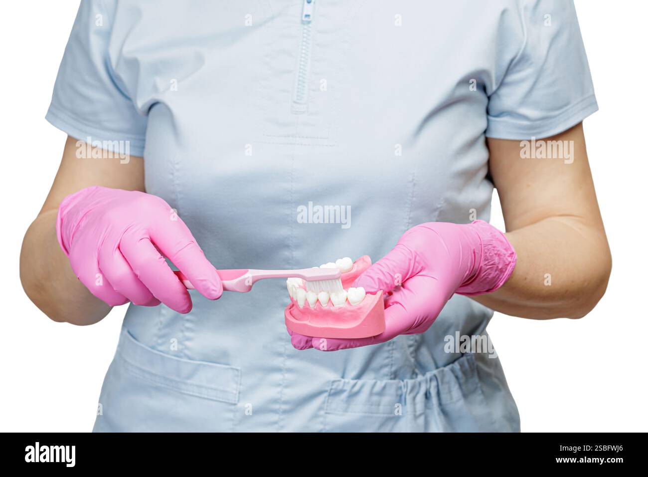Dentist in latex gloves with a human jaw layout and a toothbrush on the ...