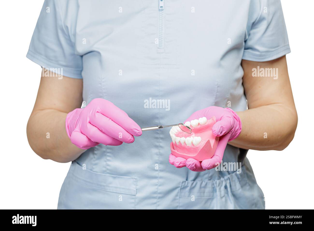 Dentist with a layout of the human jaw is examining teeth with a metal ...