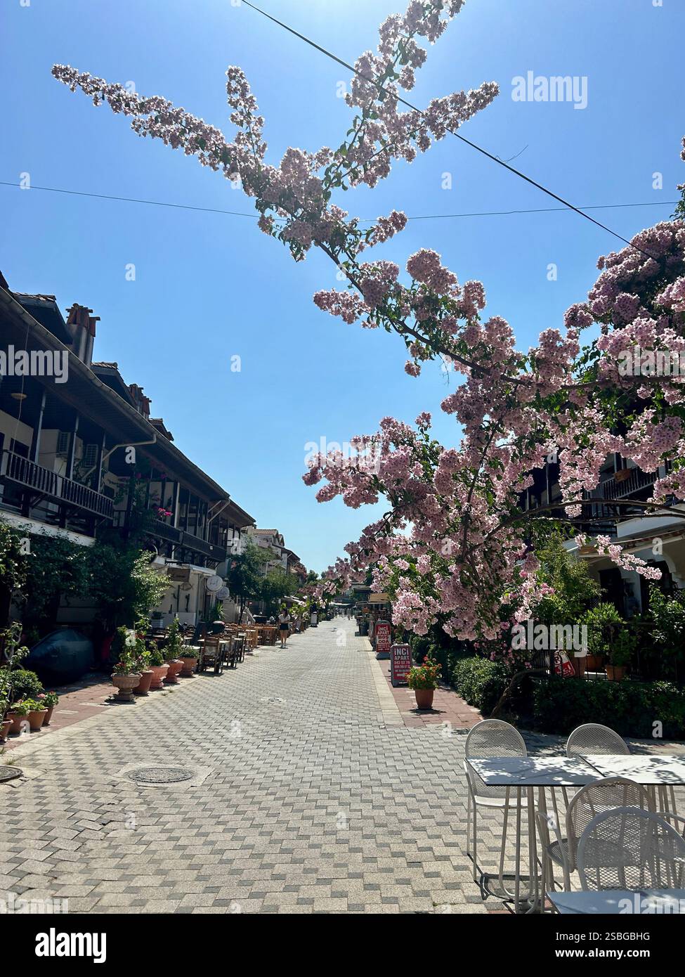 A quiet Turkish street during a hot summer day with beautiful pink flowers lining the way - Smartphone Captured Stock Image
