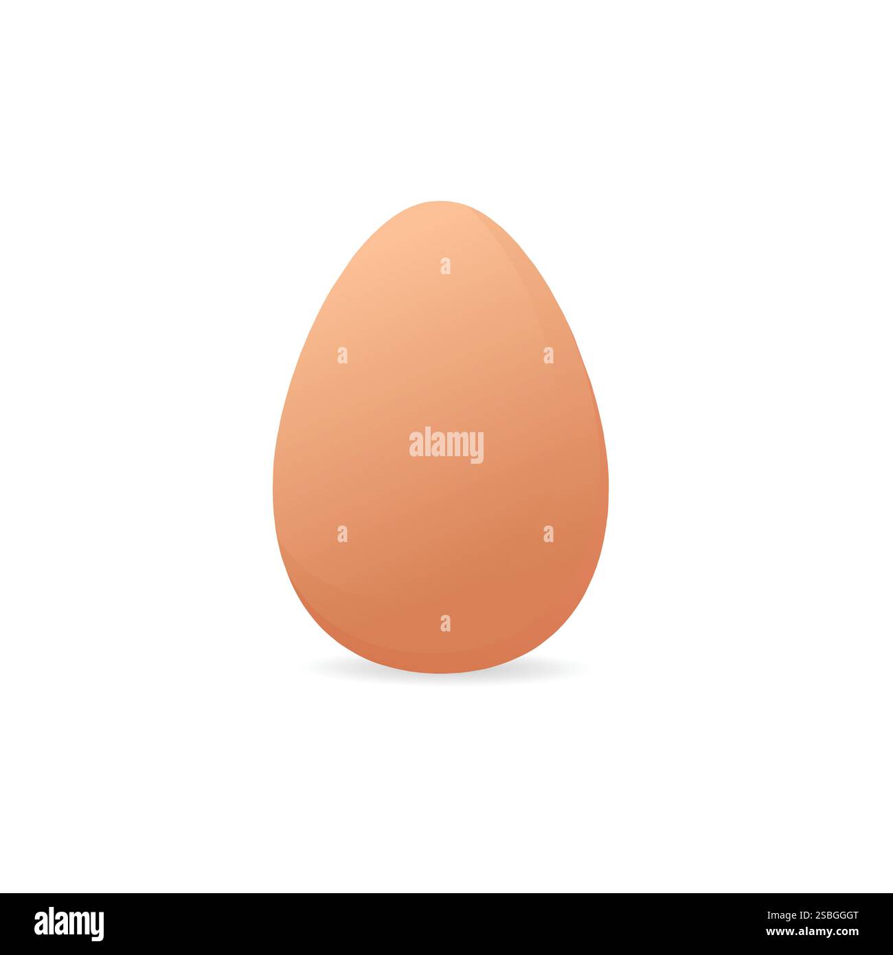 Chicken eggs isolated on white background Stock Vector