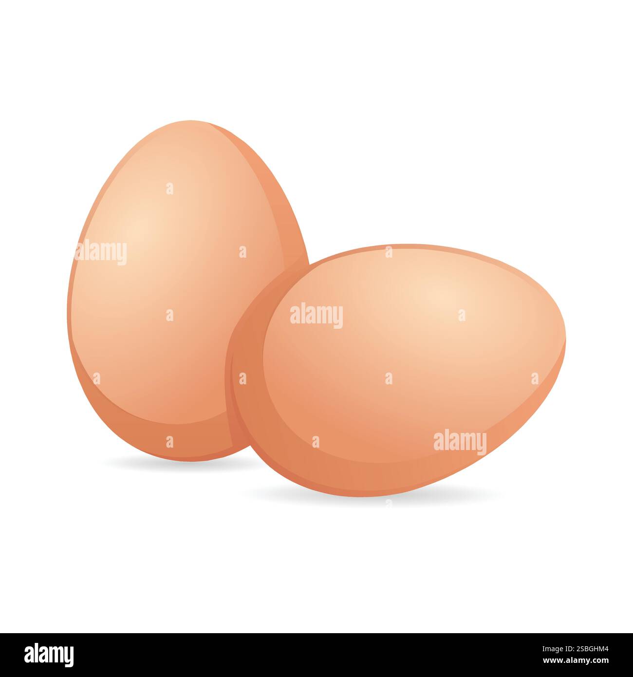 Chicken eggs isolated on white background Stock Vector