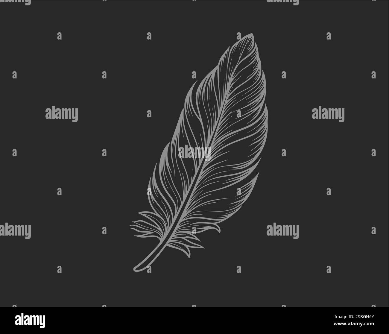 Structure of bird feather design Black and White Stock Photos & Images ...