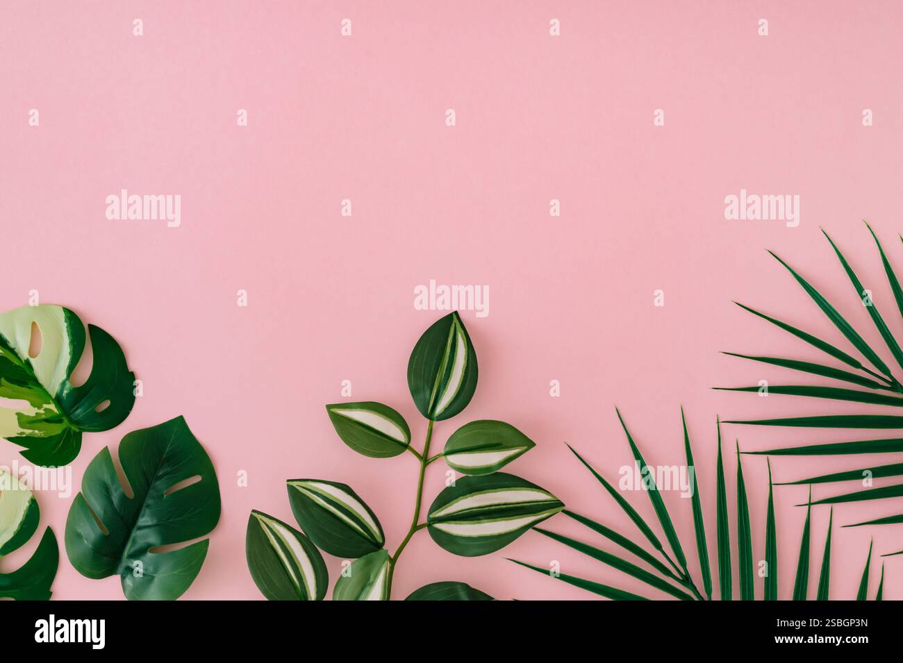 Colorful tropical leaves on light pastel pink background. Minimal summer exotic concept with copy space. Creative nature layout. Border arrangement. Stock Photo