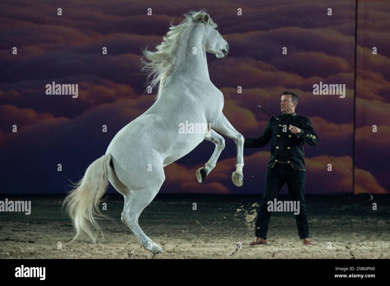 Liberator Hip Rider Vincent Liberator, Specialist in free dressage, Vincent Liberator ...
