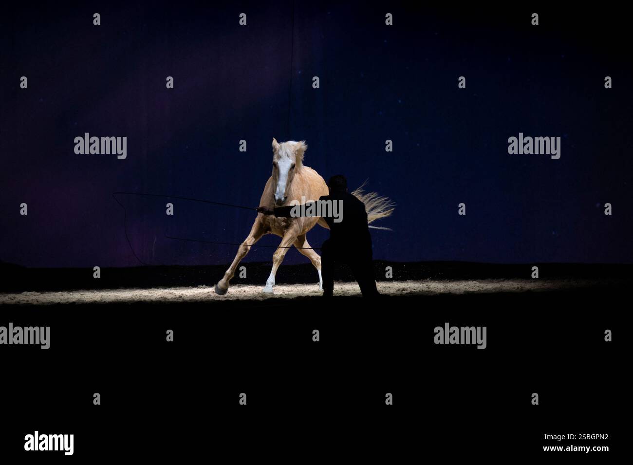 Liberator Hip Rider Vincent Liberator, Specialist in free dressage, Vincent Liberator ...