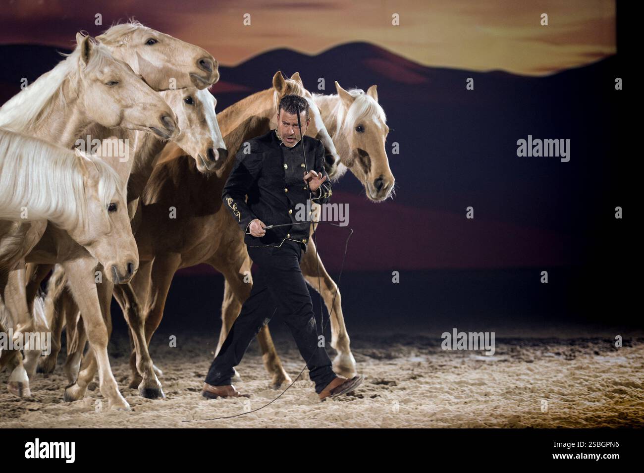 Liberator Hip Rider Vincent Liberator, Specialist in free dressage, Vincent Liberator ...