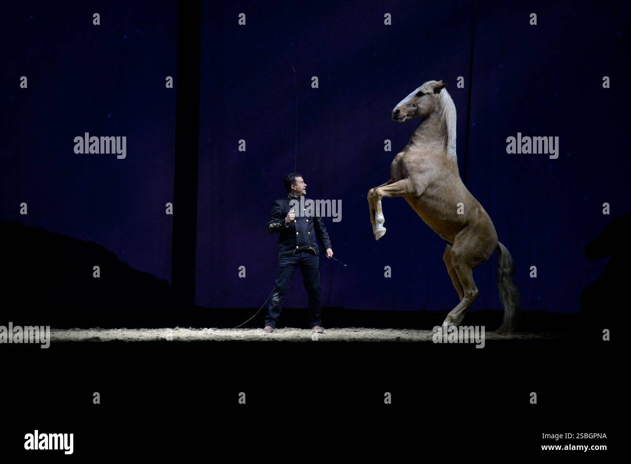 Liberator Hip Rider Vincent Liberator, Specialist in free dressage, Vincent Liberator ...