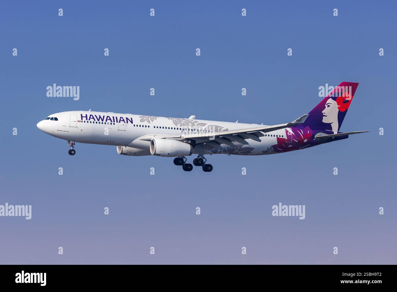 HAWAIIAN AIRLINES A330-200 ハワイアン航空 エアバス Airbus A330 | Hawaiian Airlines
