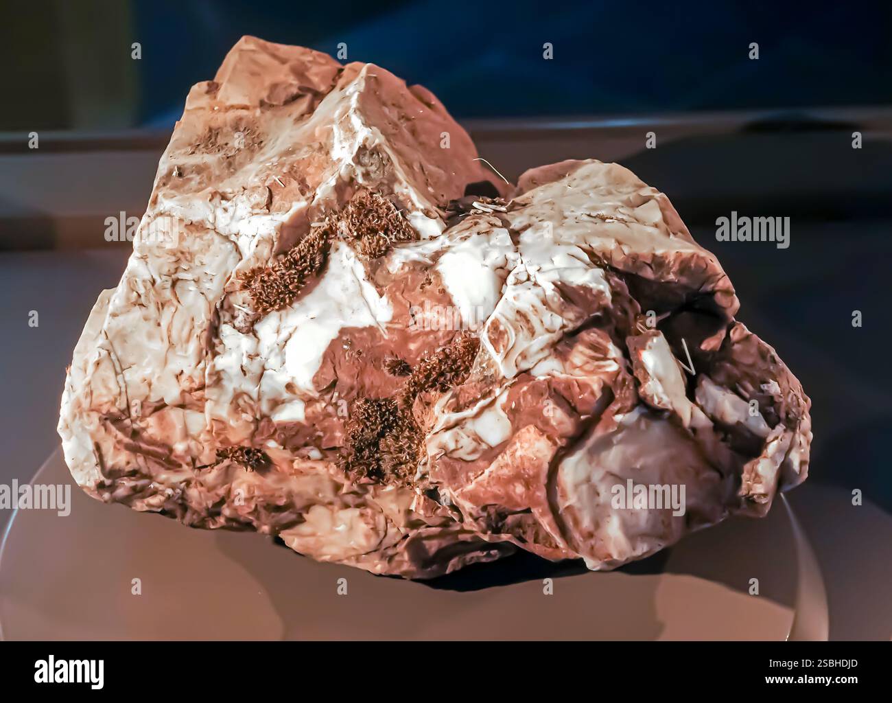 crystallized sandstone marble, hazro, Jurassic Cretaceous (206-65 million years) Diyarbakır Turkey Turkiye Stock Photo