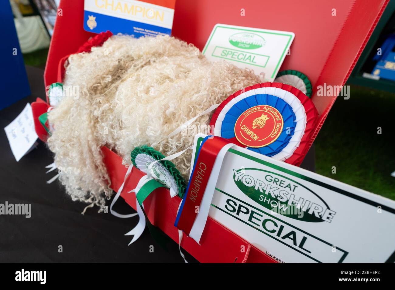 Wool Display at The Great Yorkshire Show, England Stock Photo - Alamy