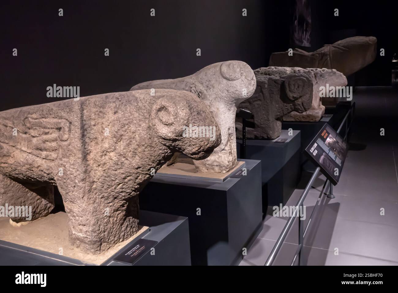 Tombs in the shape of rams - Seljuk period - Van Archeological Museum Turkey Turkiye Stock Photo