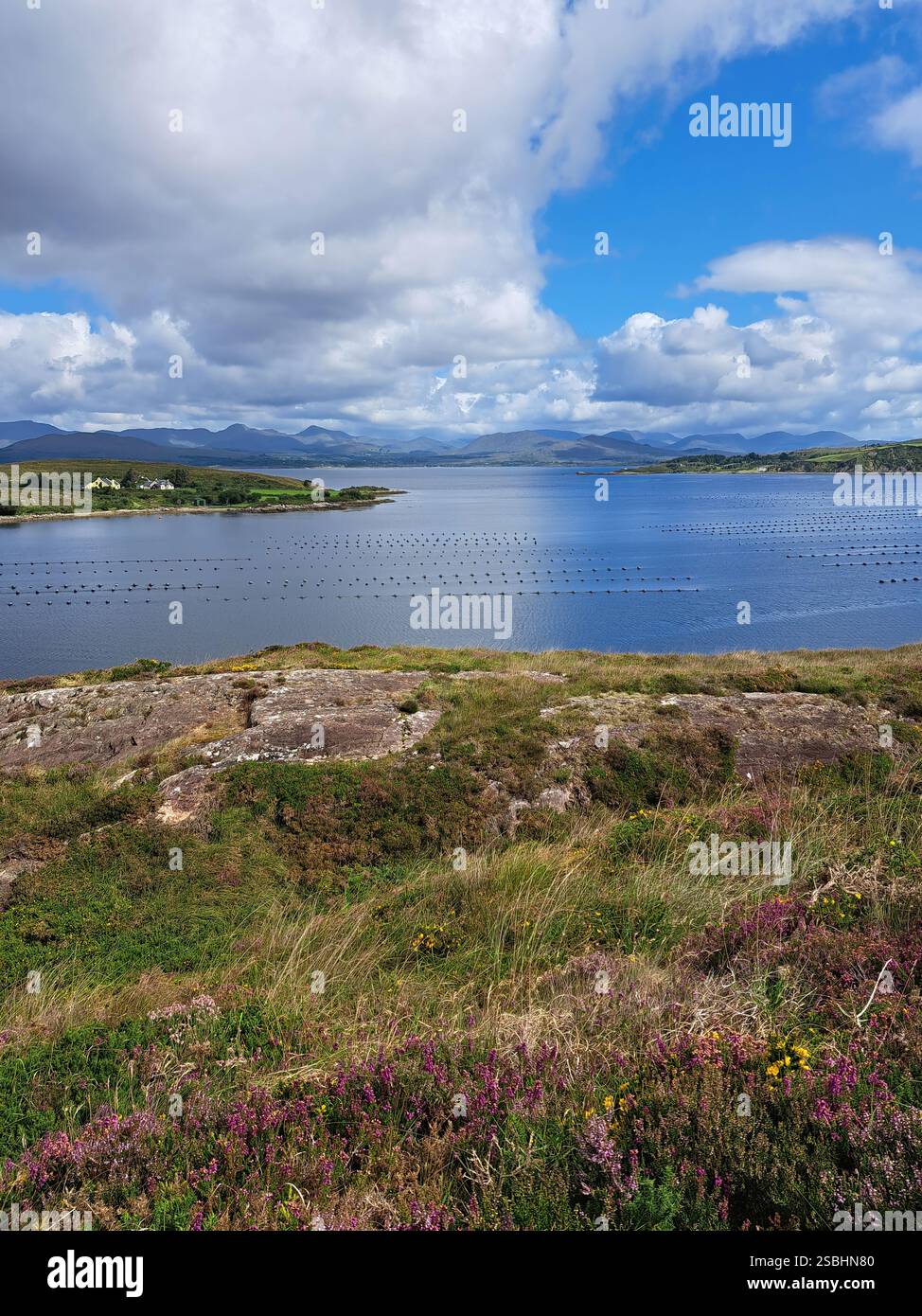 Kenmare River or Kenmare Bay  is a long and narrow bay in south-west Ireland. The bay is enclosed by the Iveragh Peninsula on the north side, and the - Smartphone Captured Stock Image