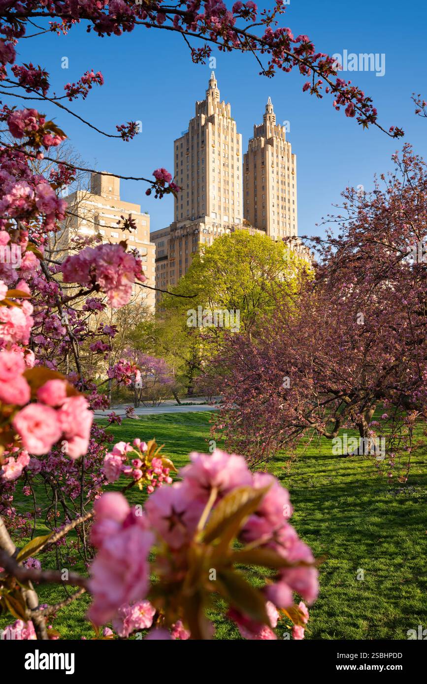 Spring Central Park Spring in Central Park: Cherry blossoms and a landmark Art Deco ...