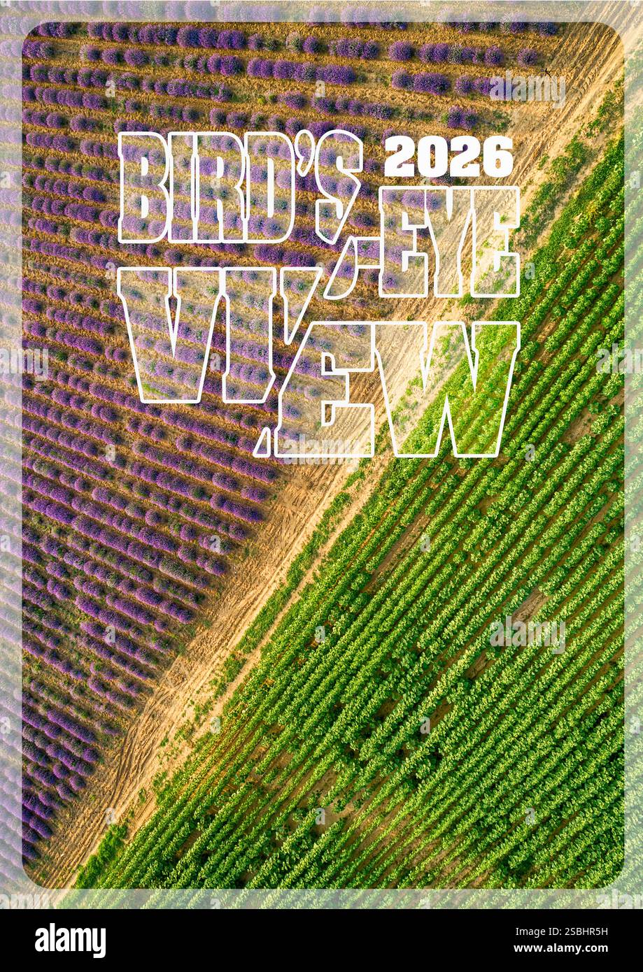 Коли миколая в 2026 році