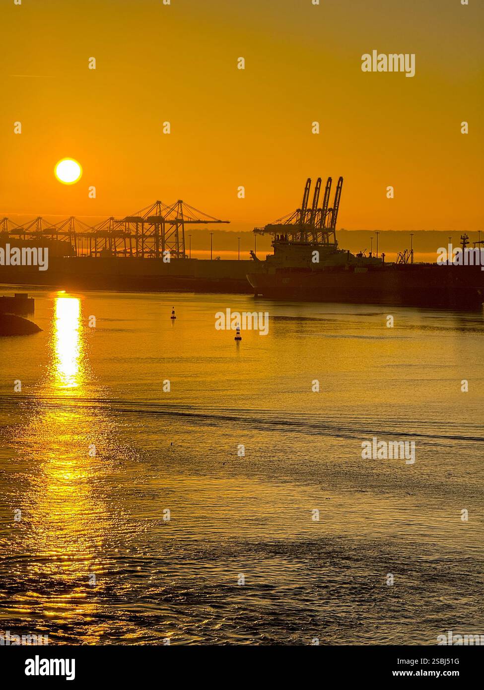 Le Havre, France, Europe - 16 January 2025: Silhouette of container cranes in the port of Le Havre at sunrise. - Smartphone Captured Stock Image