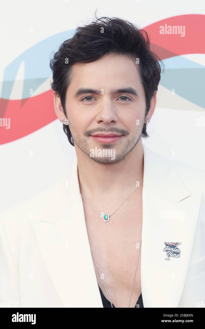 Los Angeles, USA. 03rd Feb, 2025. David Archuleta attends the 6th Annual Jam For Janie GRAMMY Awards Viewing Party at Hollywood Palladium on February 02, 2025 in Los Angeles, California. Photo: CraSH/imageSPACE Credit: Imagespace/Alamy Live News Stock Photo