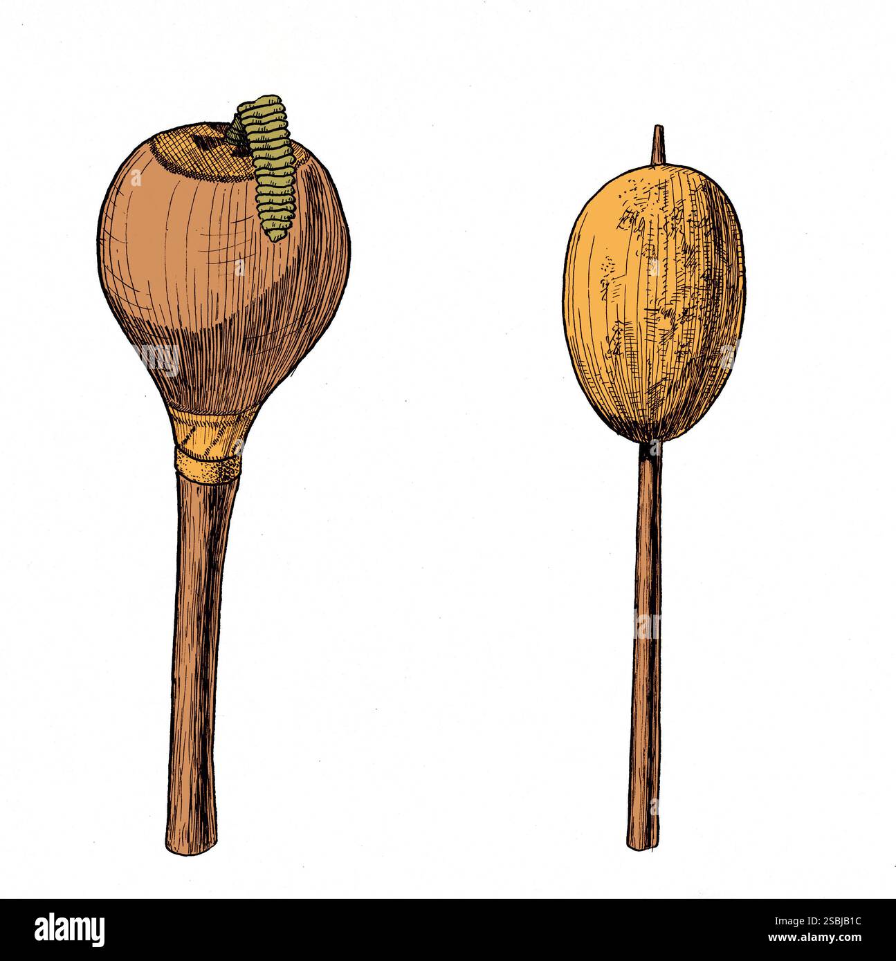 Black and white ink sketch of two Cherokee Indian rattles, one with a ...