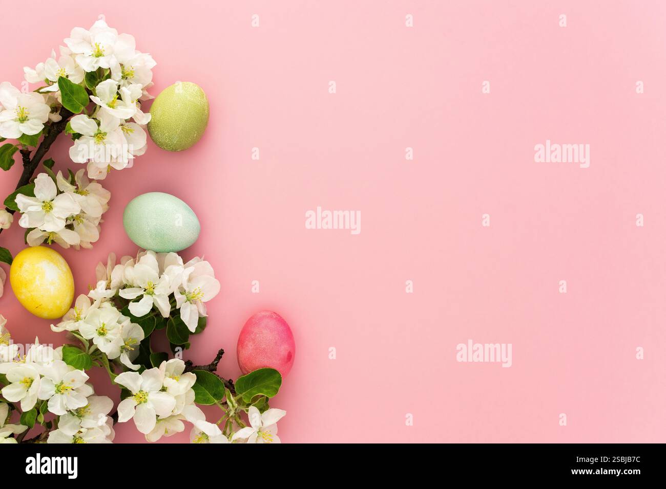 Spring Easter background, multi-colored Easter eggs and blooming apple tree branches on a pink background Stock Photo