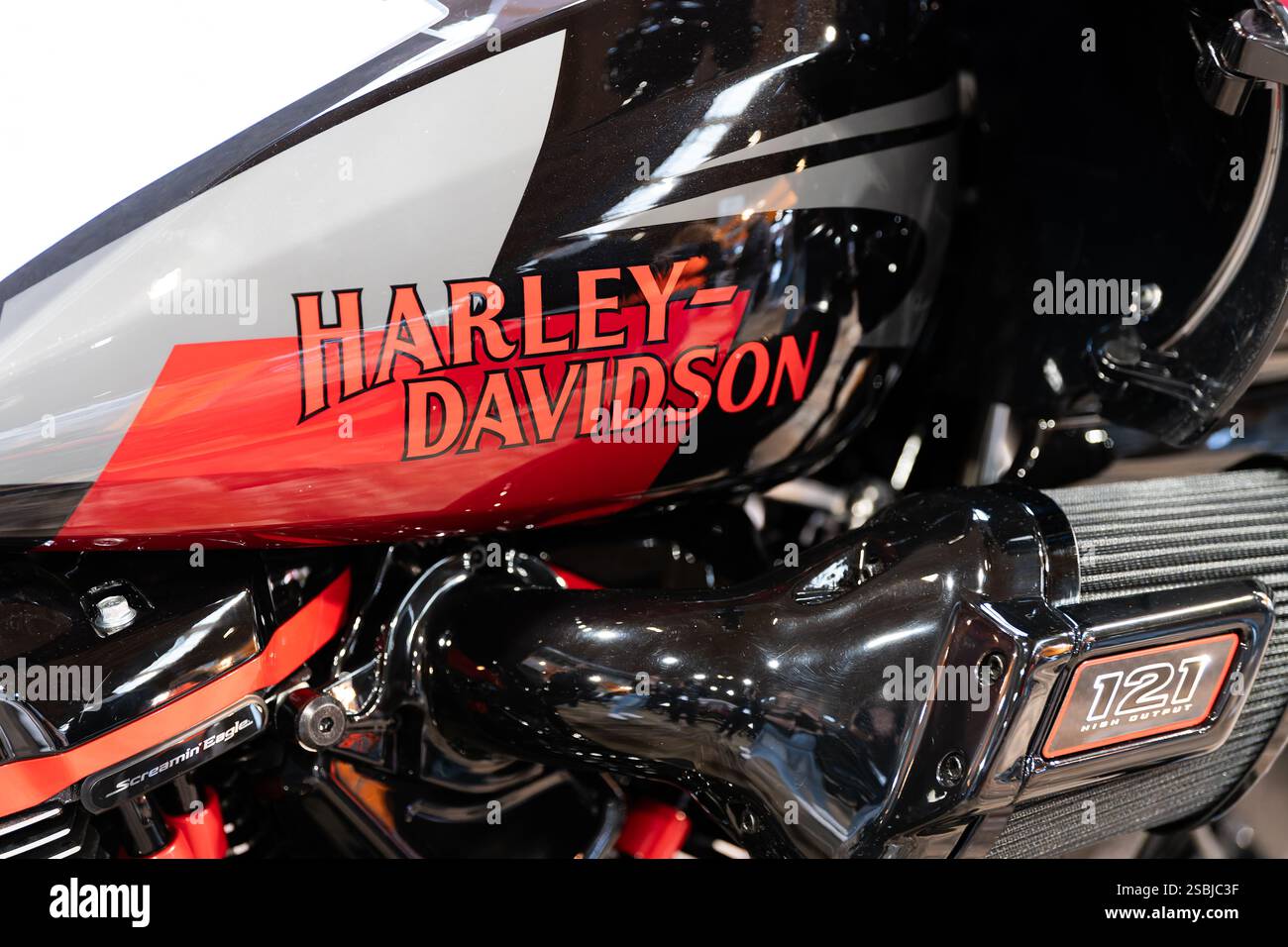 02 February 2025, BadenWürttemberg, Friedrichshafen The Harley