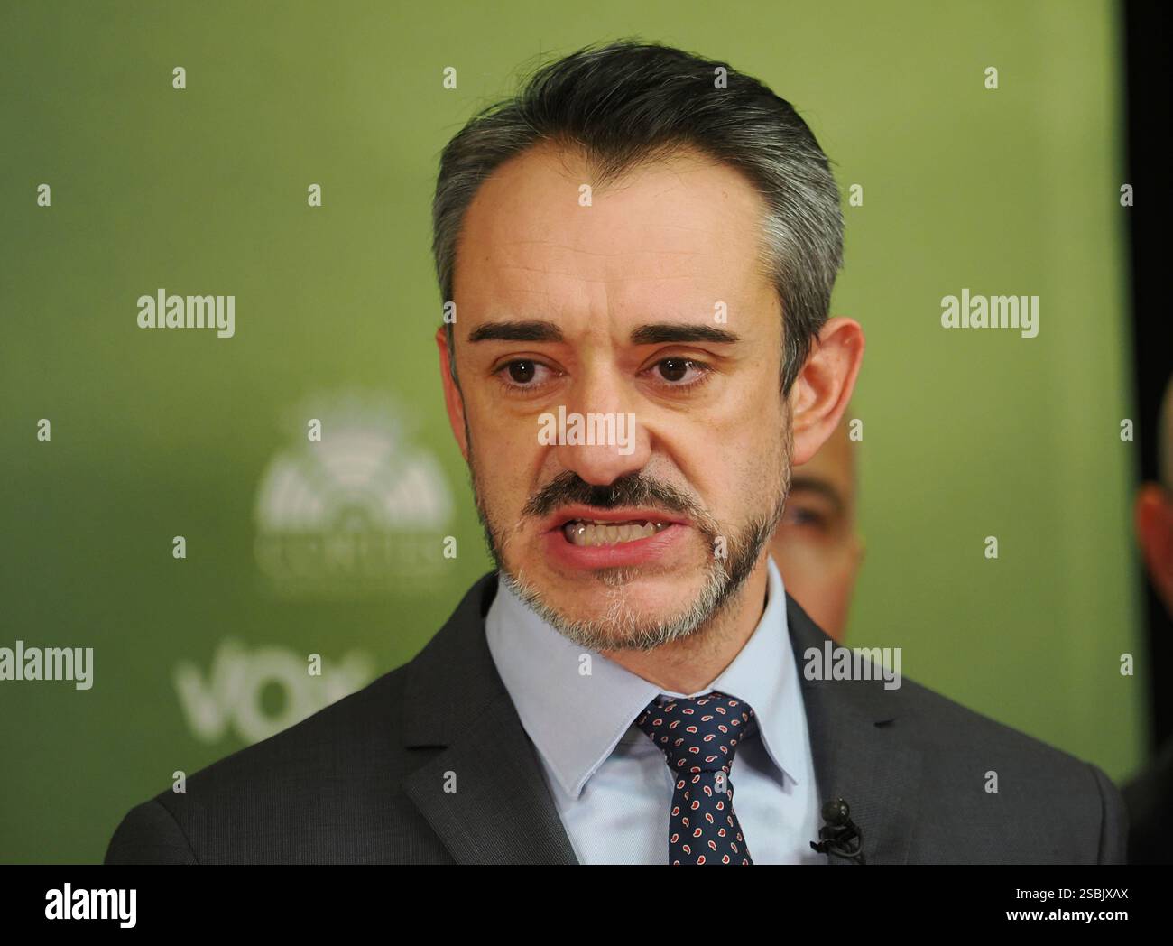 The new spokesman of Vox in the Castilla y León Parliament, David ...