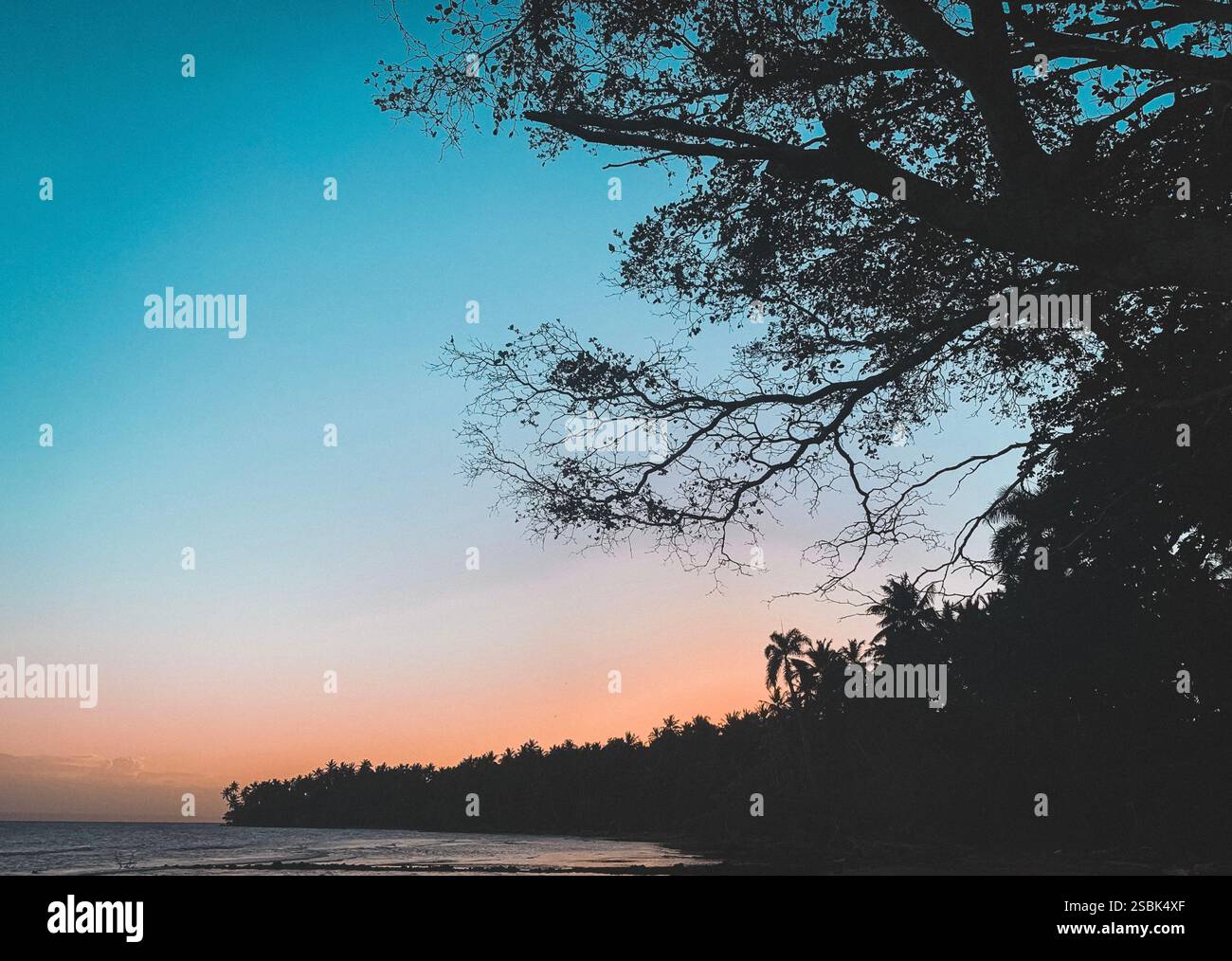 sunset by the tropical beach - Smartphone Captured Stock Image