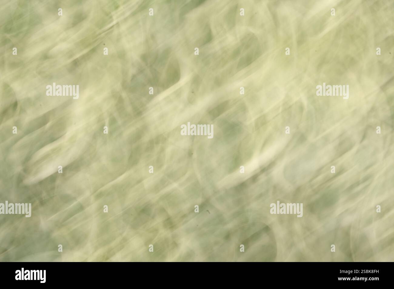 Abstract green background Stock Photo