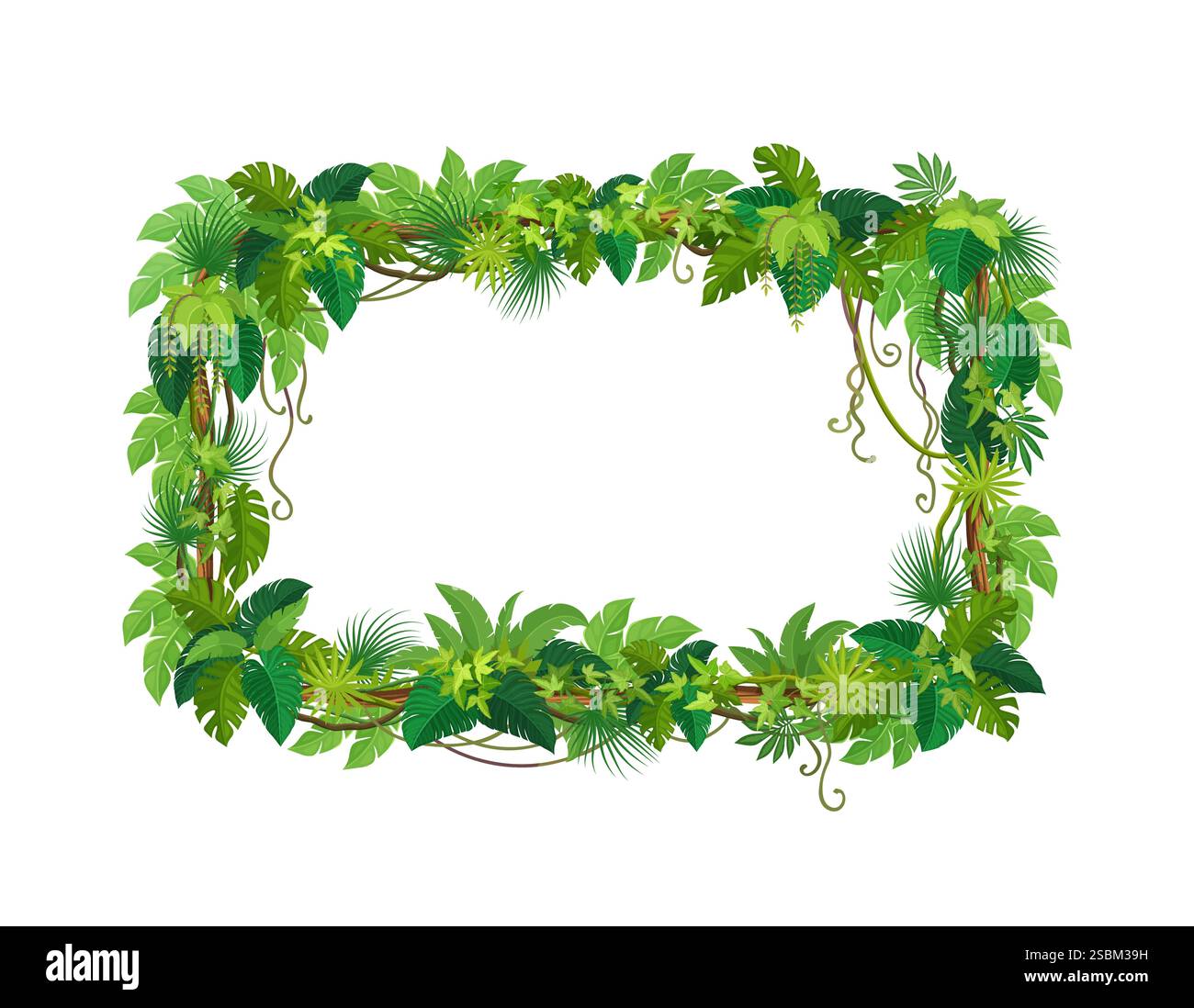 Liana frame of tropical jungle ivy or rainforest vine leaves and ...