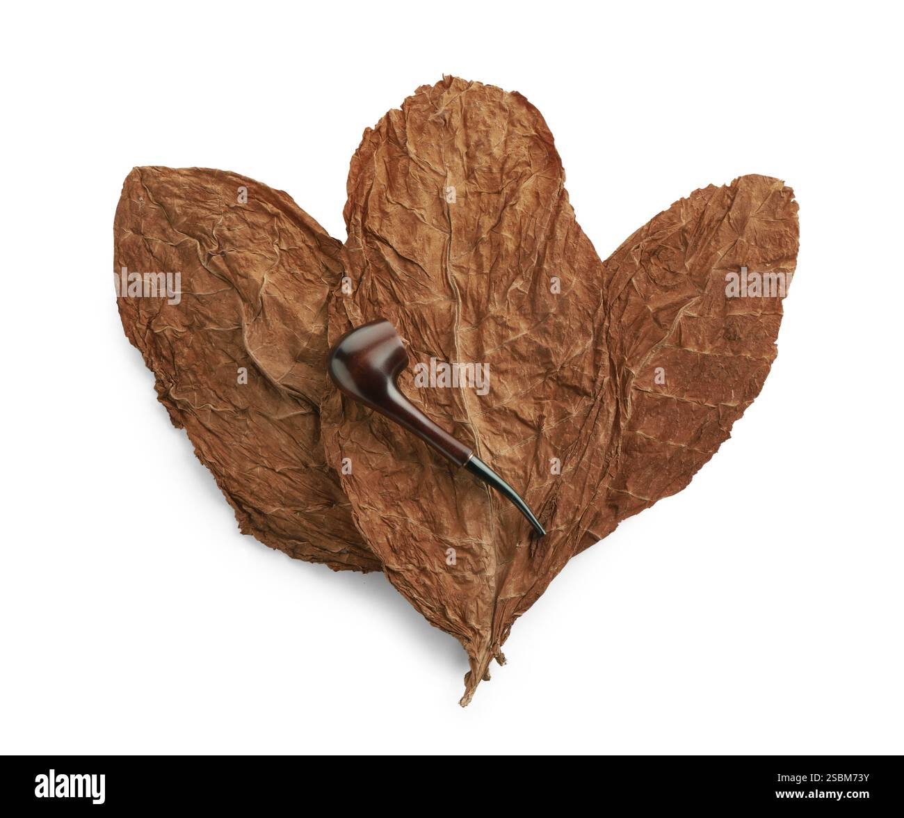 tobacco and vapes bill consultation The UK Parliament approved the Tobacco and Vapes Bill on Tuesday, permanently barring anyone born on or after January 1, 2009 from ever purchasing tobacco. The law also grants ministers new powers