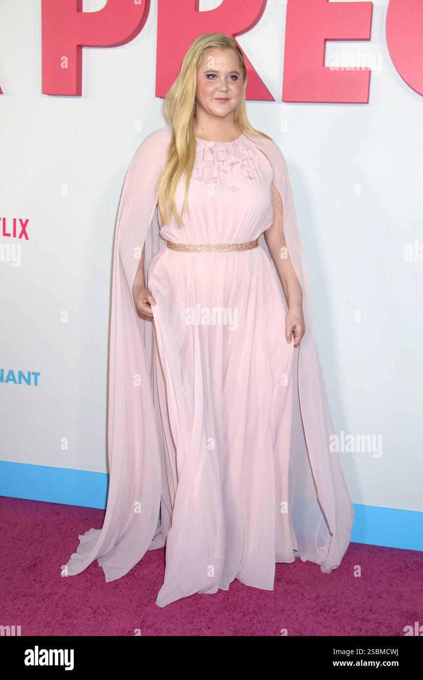 New York NY USA 03rd Feb 2025 Amy Schumer At The New York Premiere New York Ny Usa 03rd Feb 2025 Amy Schumer At The New York Premiere Of Netflixs Kinda Pregnant In New York City At At Paris Theater On February 03 2025 Credit Rwmedia Punchalamy Live News 2SBMCWJ