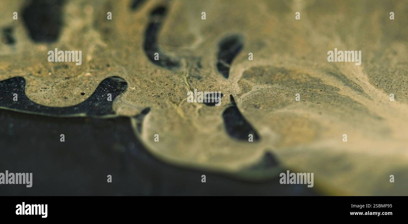 Blur spilling fluid paint hi-res stock photography and images - Alamy