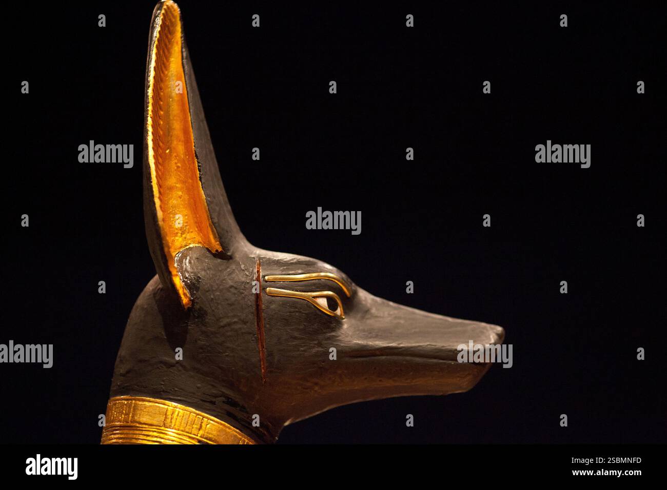 Pharaoh dog hi-res stock photography and images - Alamy